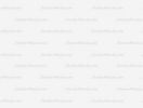 Aenean quis ipsum